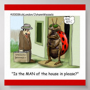 Lady Bug ontmoet mannelijk chauvinistisch Poster