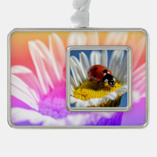 Lady bug op daisy Mok Muismat Poster Kerstmis O Verzilverd Omlijst Ornament