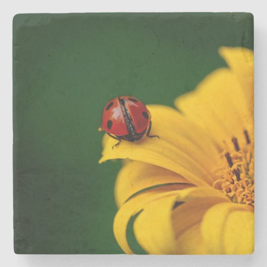 Lady Bug op een gele bloem Stenen Onderzetter (Voorkant)