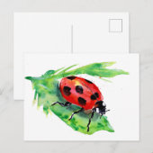 Lady Bug op een groen lef Briefkaart (Voorkant / Achterkant)