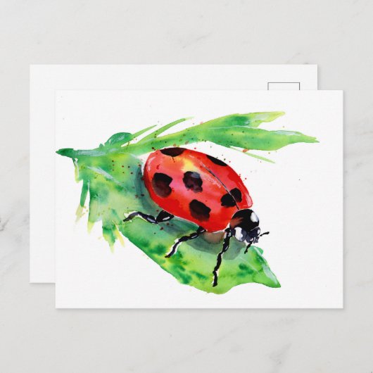 Lady Bug op een groen lef Briefkaart (Voorkant / Achterkant)