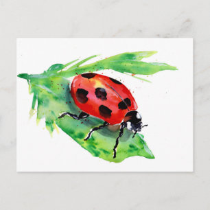 Lady Bug op een groen lef Briefkaart