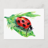 Lady Bug op een groen lef Briefkaart (Voorkant)