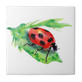 Lady Bug op een groen lef Tegeltje (Voorkant)