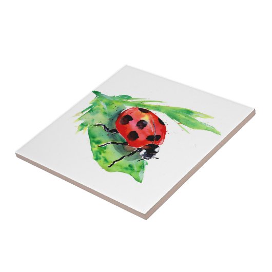 Lady Bug op een groen lef Tegeltje (Zijkant)