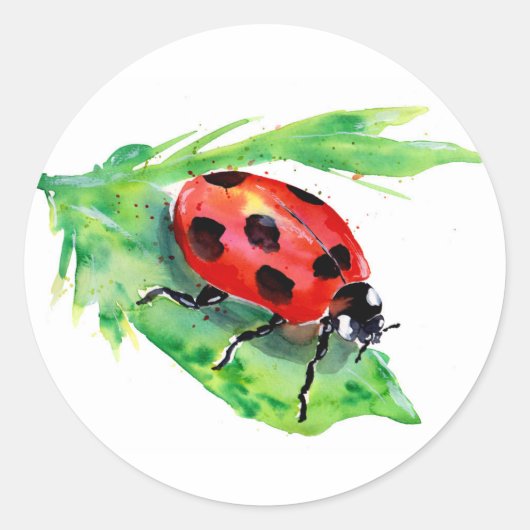 Lady Bug op een groene Waterverf met leder Ronde Sticker (Voorkant)