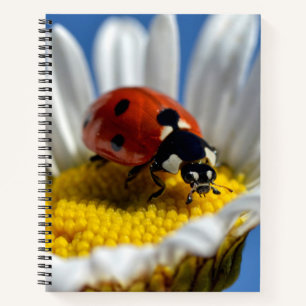 Lady bug op Mok Jigzaag Puzzle Teddy Bear Notitieboek