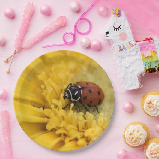 Lady bug papieren bordje (Feest)