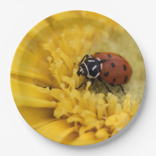 Lady bug papieren bordje (Voorkant)