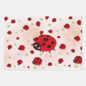 lady bug party photo inpakpapier vel (Voorkant 3)