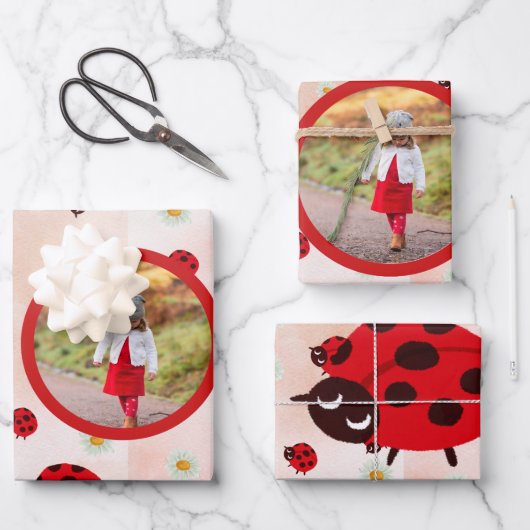 lady bug party photo inpakpapier vel (Voorkant)