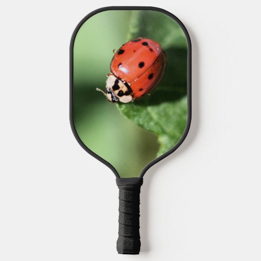 Lady bug pickleball paddle (Achterkant)