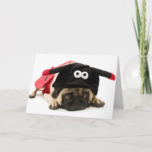 Lady Bug Pug Bedankkaart (Voorkant)
