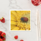 Lady bug servet (Insitu)