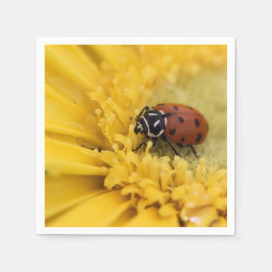 Lady bug servet (Voorkant)