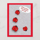 Lady Bug Shoe Sale Funny Briefkaart (Voorkant)