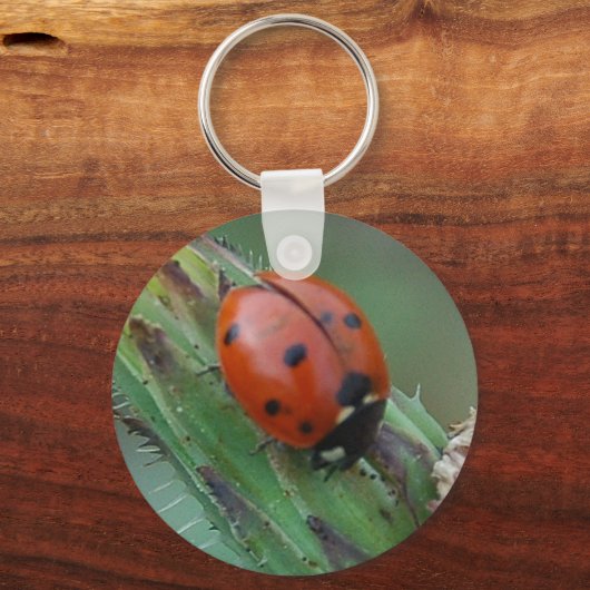 Lady Bug Sleutelhanger (Voorkant)