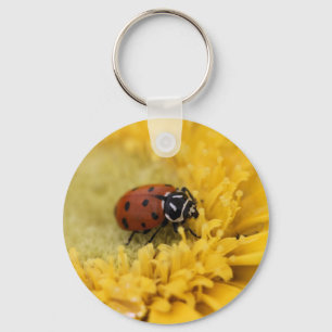 Lady bug sleutelhanger