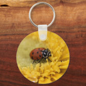 Lady bug sleutelhanger (Voorkant)