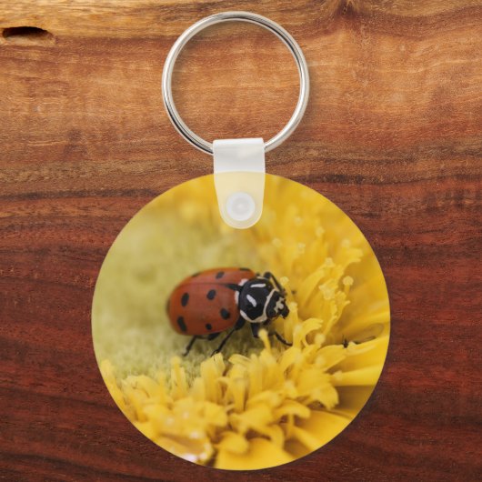 Lady bug sleutelhanger (Voorkant)