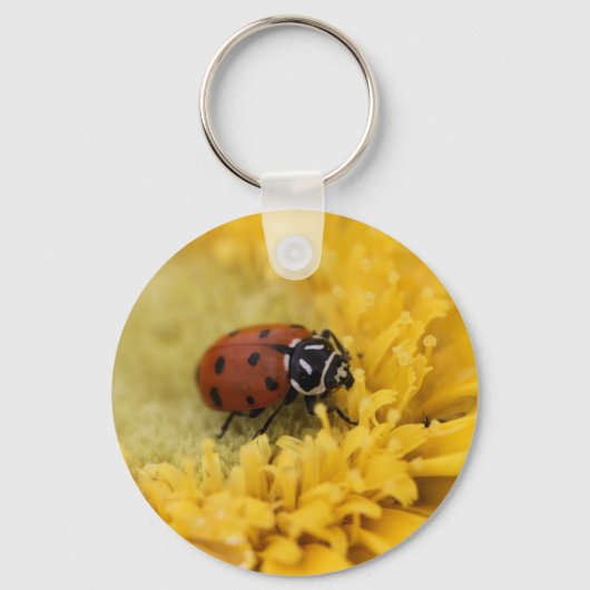 Lady bug sleutelhanger (Achterkant)