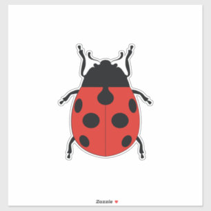 LADY BUG STICKER