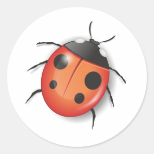 Lady Bug Sticker Envelope Seal
