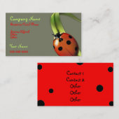Lady Bug visitekaartje (Voorkant / Achterkant)