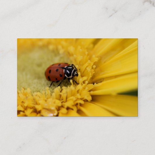 Lady bug visitekaartje (Achterkant)