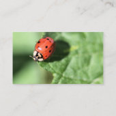 Lady bug visitekaartje (Achterkant)