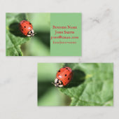 Lady bug visitekaartje (Voorkant / Achterkant)