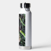 Lady Bug Waterfles (Links)