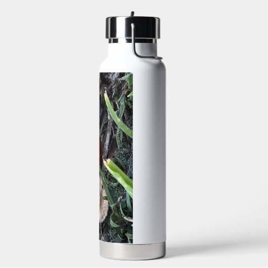 Lady Bug Waterfles (Links)