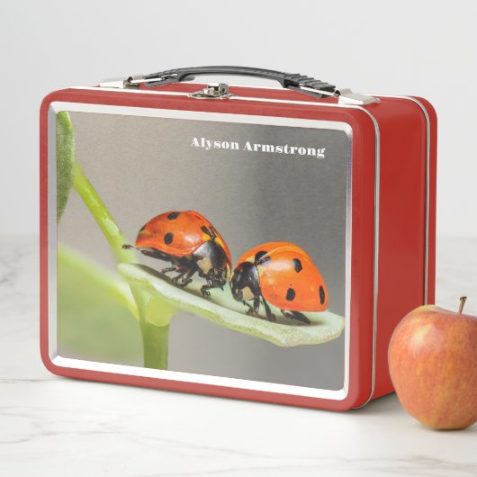 Lady Bugs (In situ)
