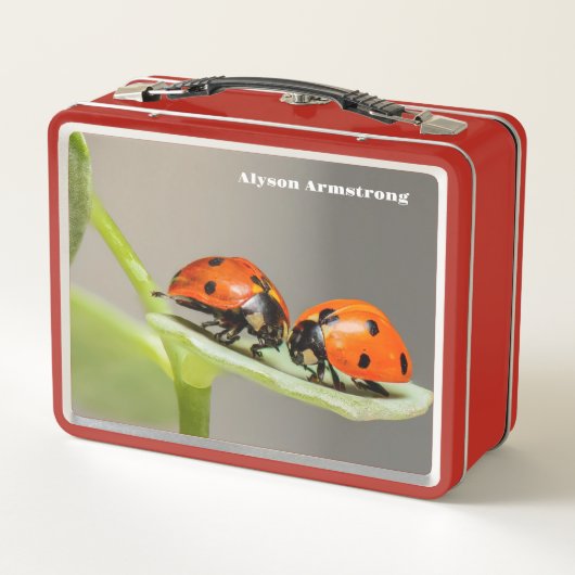 Lady Bugs (Achterkant)