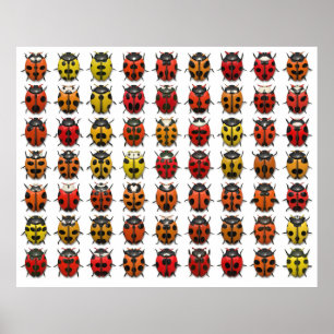 Lady Bugs 1 Poster