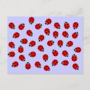 Lady Bugs Items Briefkaart