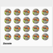 Lady Bugs Round Sticker (Vel)