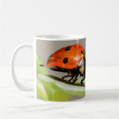 Lady Bugs White Coffee Mok (Links)