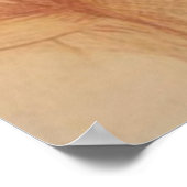 Lady Clare Canvas afdrukken Poster (Hoek)