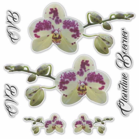 Lady Executive Orchid Bagage Sticker Set (Voorkant)