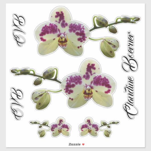 Lady Executive Orchid Bagage Sticker Set (Vel)