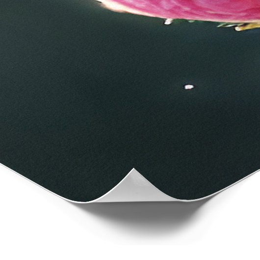  Lady Fairy Queen Roos Flowers Poster (Hoek)