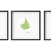 Lady Fern Illustratie | Serie Fern Poster