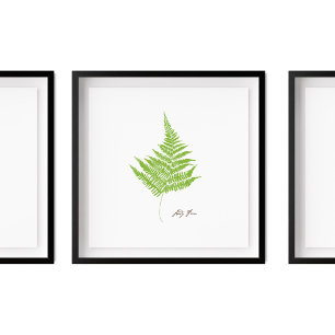 Lady Fern Illustratie   Serie Fern Poster
