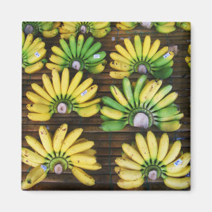 Lady Finger Bananas ~ Egg Banana (ก ล้ ย ไ ข่) Magneet