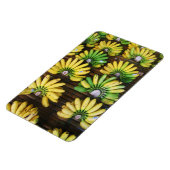 Lady Finger Bananas ~ Egg Banana (ก ล้ ย ไ ข่) Magneet (Linkerzijde)