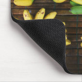 Lady Finger Bananas ~ Egg Banana (ก ล้ ย ไ ข่) Muismat (Hoek)