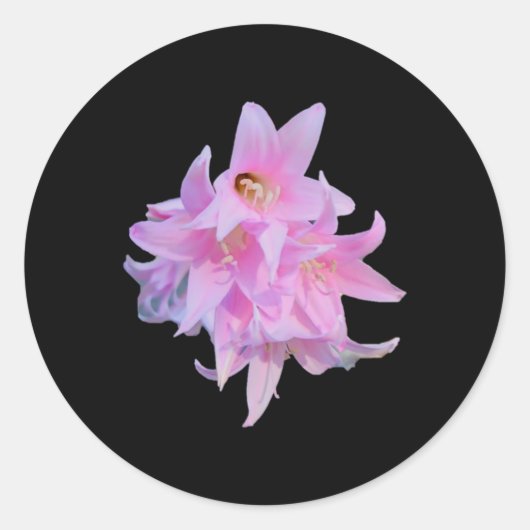 Lady Flowers (belladonna Lily) Whitebg Sticker (Voorkant)