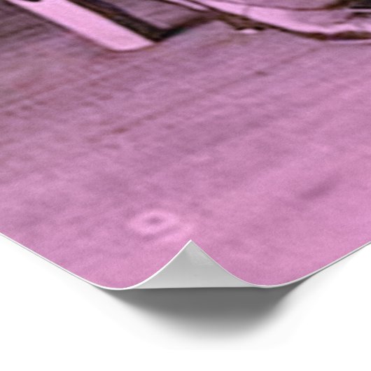 Lady Friends Poster (Hoek)